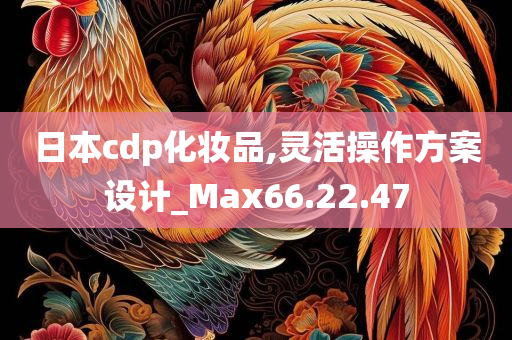 日本cdp化妆品,灵活操作方案设计_Max66.22.47