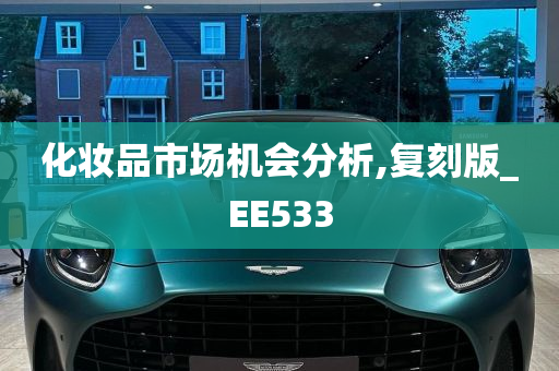 化妆品市场机会分析,复刻版_EE533