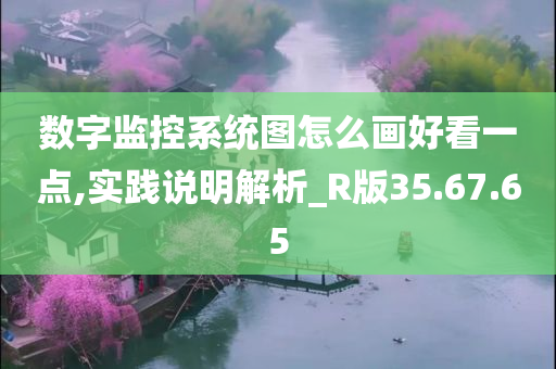 数字监控系统图怎么画好看一点,实践说明解析_R版35.67.65