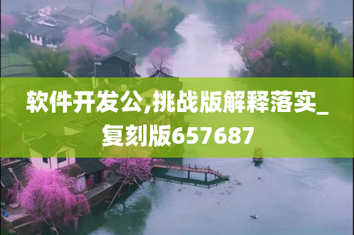 软件开发公,挑战版解释落实_复刻版657687