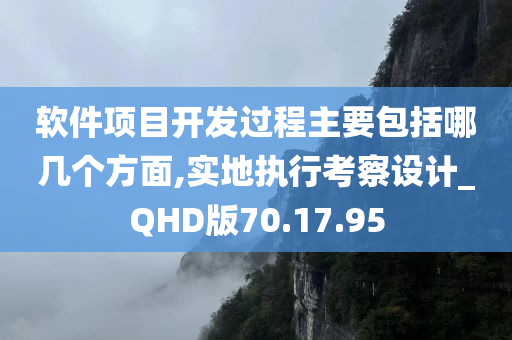 软件项目开发过程主要包括哪几个方面,实地执行考察设计_QHD版70.17.95