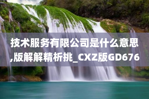 技术服务有限公司是什么意思,版解解精析挑_CXZ版GD676