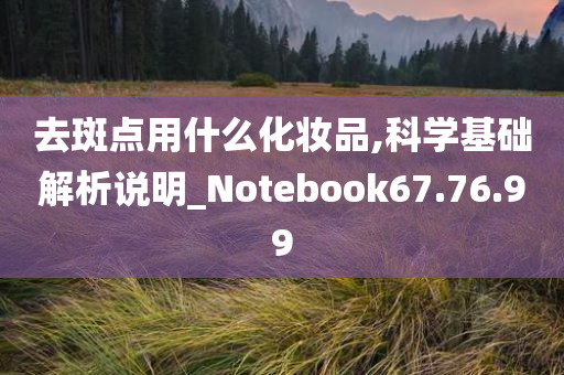 去斑点用什么化妆品,科学基础解析说明_Notebook67.76.99