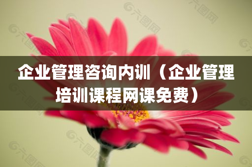 企业管理咨询内训（企业管理培训课程网课免费）