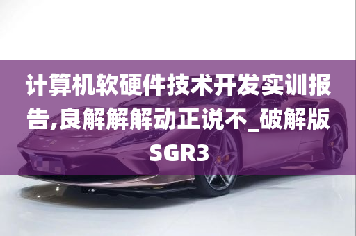 计算机软硬件技术开发实训报告,良解解解动正说不_破解版SGR3