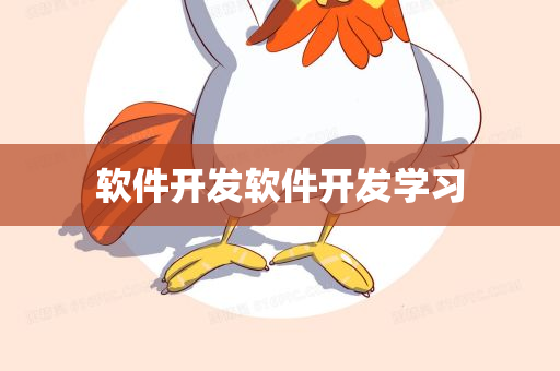 软件开发软件开发学习