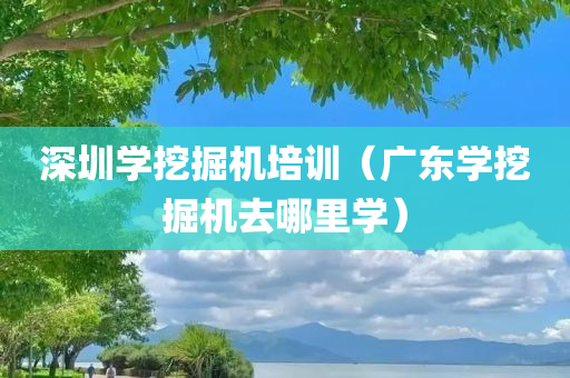 深圳学挖掘机培训（广东学挖掘机去哪里学）