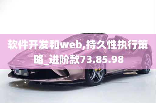 软件开发和web,持久性执行策略_进阶款73.85.98